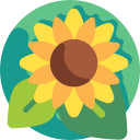 Hidamari